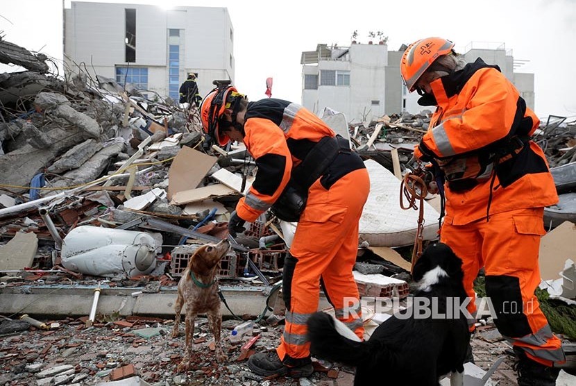 Tim SAR mengerahkan anjing pelacak untuk mencari korban di sebuah reruntuhan gedung di Durres, setelah gempa mengguncang Albania, Jumat (29/11).