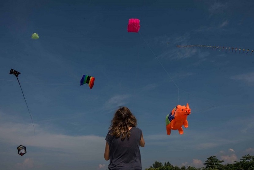 Rhino Kites Festival