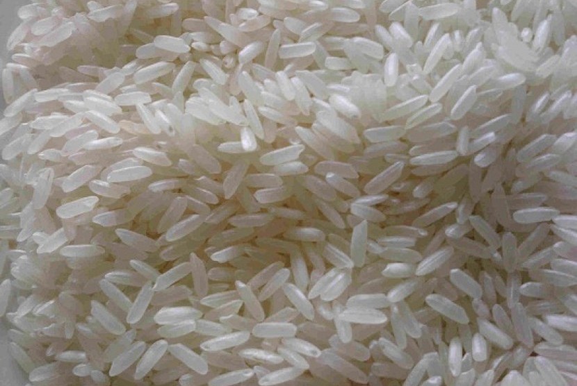 Rice (illustration)