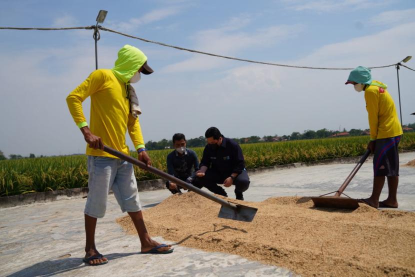 Bulog Cirebon terus menggenjot penyerapan beras dari petani.