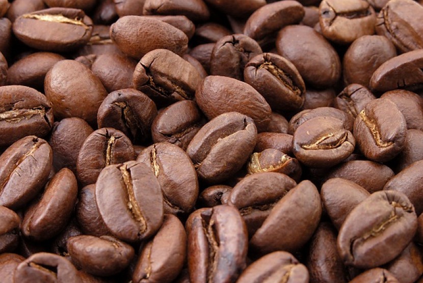 Roasted coffee beans (illustration)