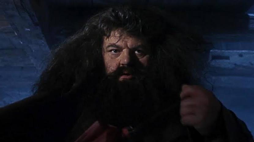 Robbie Coltrane saat memera Hagrid di Harry Potter.