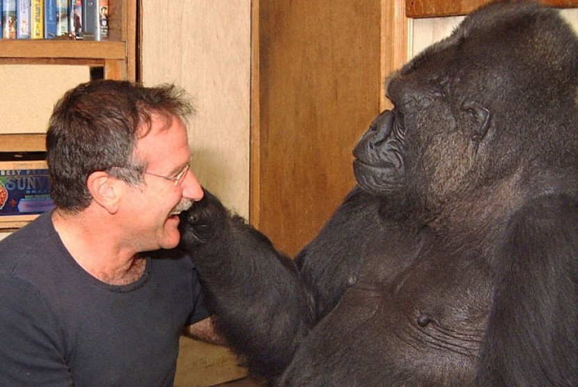 Robin William bersama Koko