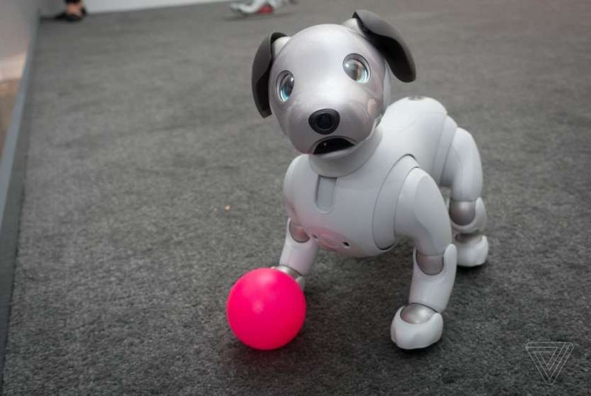 Robot anjing Aibo.