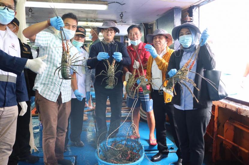 Rombongan kerja KKP meninjau kegiatan muat ikan karang hidup dan lobster yang akan diekspor melalui kapal angkut ikan Hongkong.