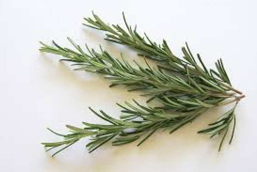 Rosemary dapat menjadi salah satu ramuan lezat yang kaya manfaat.