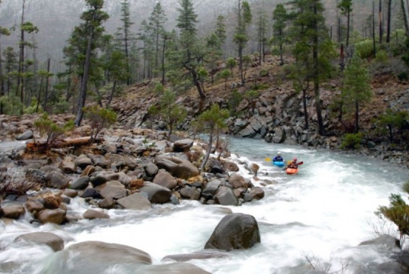 Rough & Ready and Baldface Creeks