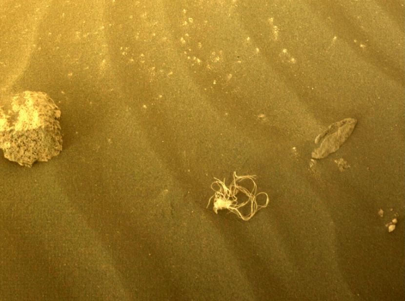 Rover Perseverance milik Badan Antariksa Amerika (NASA) menemukan objek misterius miirp tali yang membingungkan. 