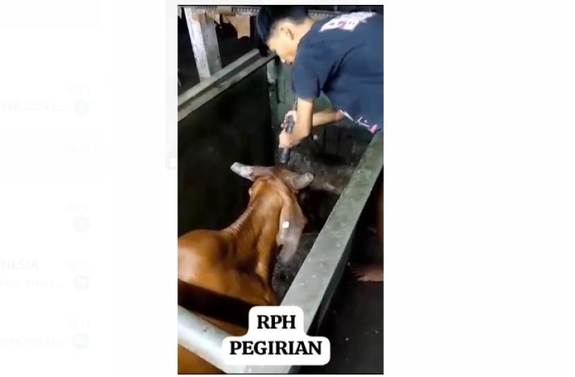 RPH Pegirian. Saat ini di Indonesia ada 204 RPH yang sudah memiliki sertifikat halal