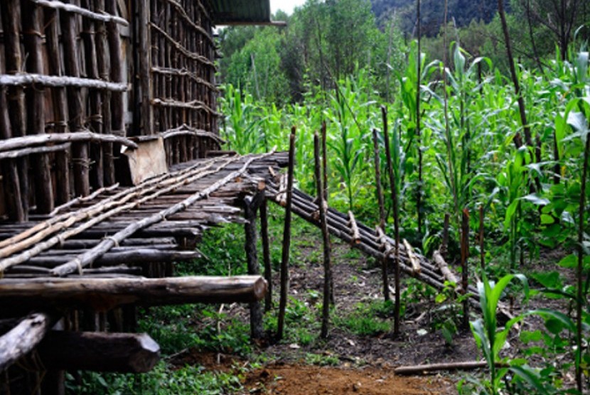 Rumah Kaki Seribu