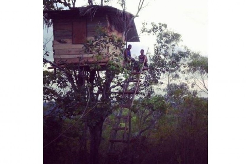 Rumah pohon di Nusa Penida