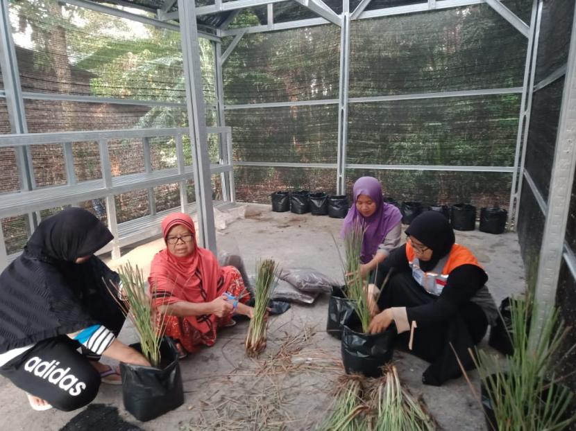 Rumah Zakat beri pendampingan penanaman tanaman herbal.