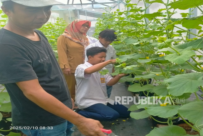 Rumah Zakat dan PT Jamkrindo meluncurkan program Tani Muda Berdaya untuk melahirkan petani tangguh. 