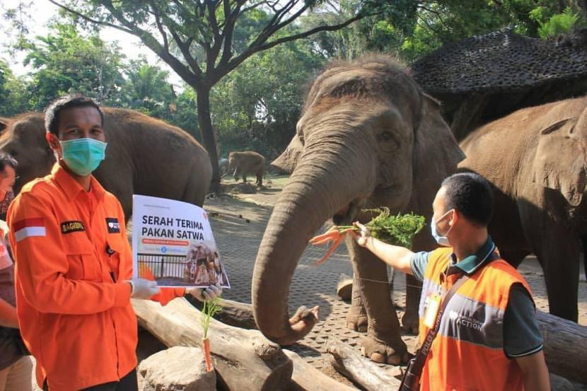 Rumah Zakat dibantu Relawan Nusantara serta Relawan Inspirasi menyalurkan bantuan pakan satwa yang bertempat di Taman Safari Indonesia 2 Prigen, Pasuruan Jawa Timur pada Selasa (12/10).