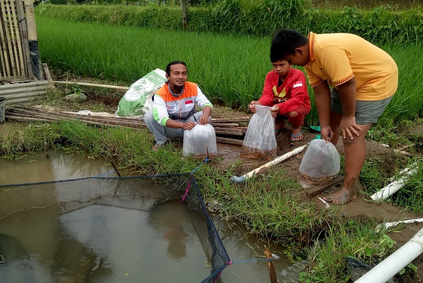 Rumah Zakat membagikan 1.000 bibit ikan Koi dan Nila untuk kelompok pemberdayaan binaan Rumah Zakat yang ada di Lingkungan RT 01/05 Desa Bumiroso, Kecamatan Watumalang, Kabupaten Wonosobo.