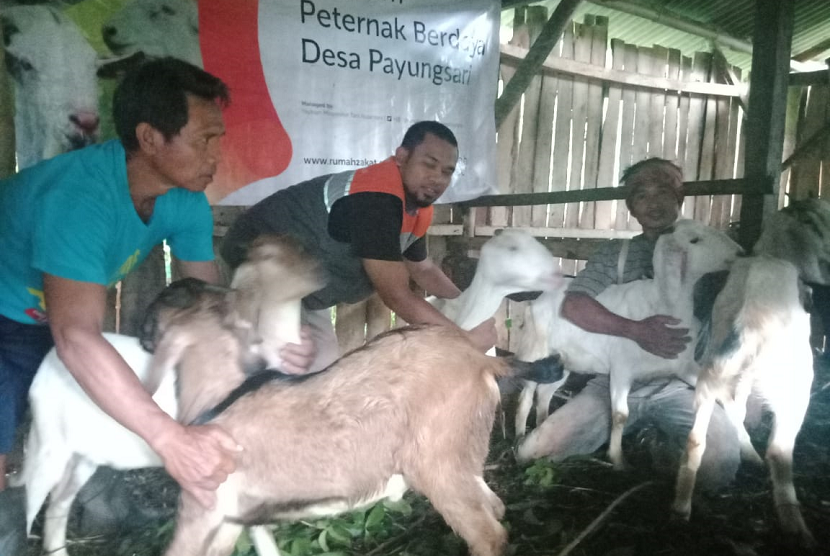 Rumah Zakat memberikan bantuan kambing untuk warga Desa Berdaya di Ciamis.
