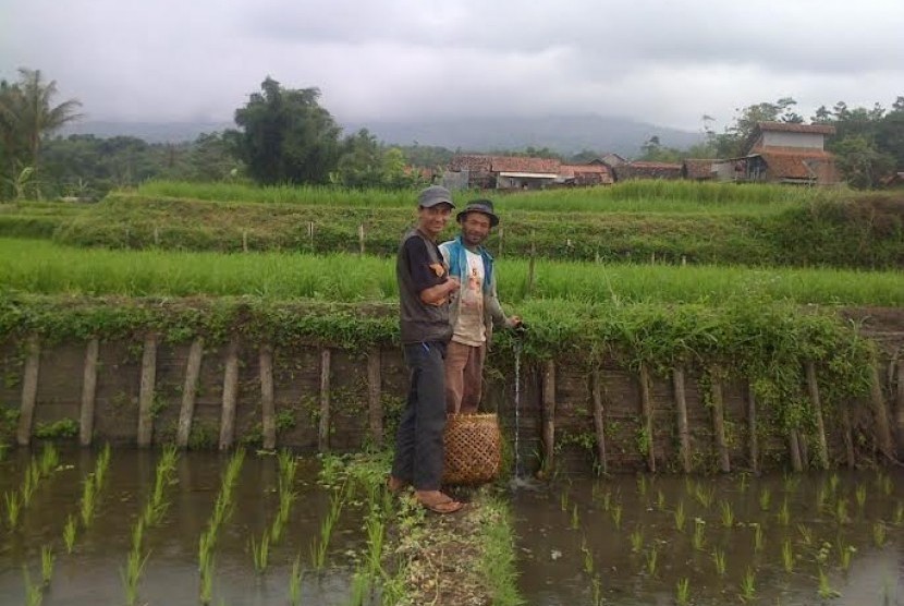 Rumah Zakat (RZ) bersama dengan Masyarakat Ternak Nusantara (MTN) menyalurkan 260 ekor atau 10 kg ikan mas untuk 2 orang peternak di Desa Mekarmukti, Kecamatan Cilawu, Kabupaten Garut.