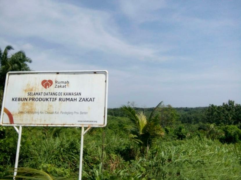 Rumah Zakat telah menggarap 7 hektar lahan wakaf di Desa Cikadondong, Kecamatan Cikeusik, Kabupaten Pandeglang, Banten untuk kebun kelapa aromatik (Thailand) sejak tahun 2019. Saat ini, 1.133 pohon kelapa aromatik telah ditanam, dan tak hanya itu, ada juga tanaman sereh wangi dan petai gobang.