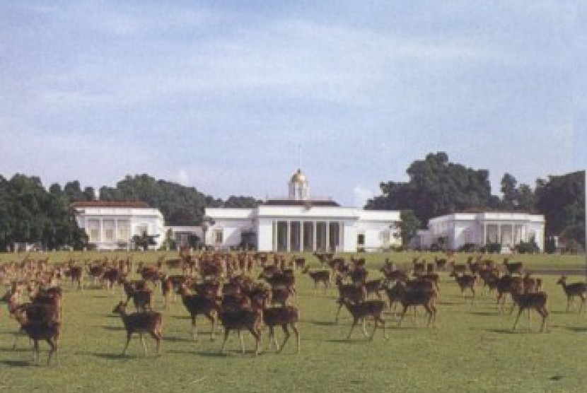 Rusa-rusa di Istana Bogor