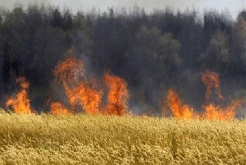 Kebakaran hutan (ilustrasi)