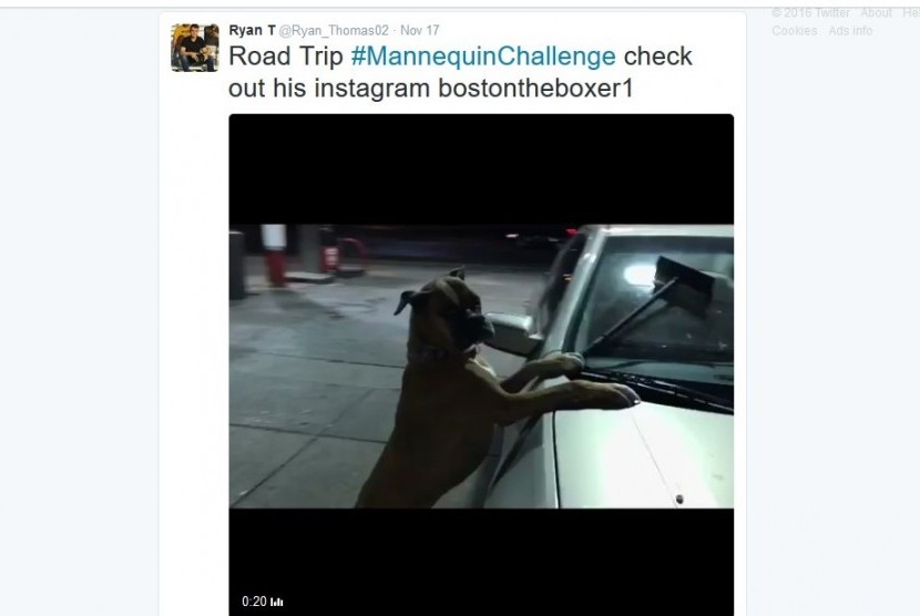 Ryan Thomas mengunggah video anjingnya yang melakukan tantangan mematung di akun media sosialnya.