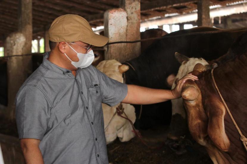 Saat berbincang dengan Mat Aji, salah satu peternak sapi sukses di Provinsi Lampung, Gubernur Kepulauan Bangka Belitung (Babel), Erzaldi Rosman tertarik dengan idenya untuk mengurangi ketergantungan sapi dari daerah luar hingga mewujudkan swasembada sapi di Babel. 