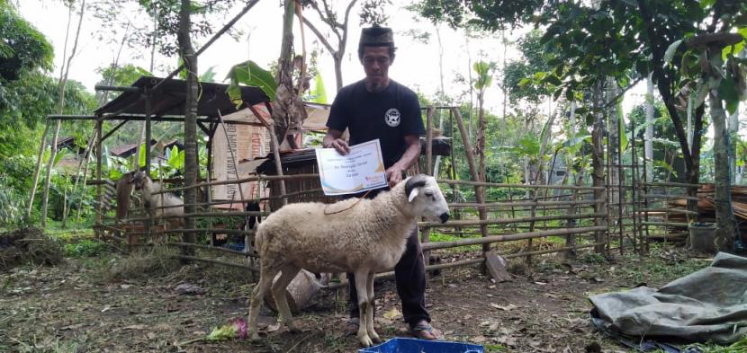 Sabtu (23/10), usaha Mumtaza Aqiqah binaan Rumah Zakat kembali menyembelih seekor domba jantan. 
