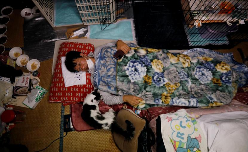 Sakae Kato, pria yang menyelamatan kucing-kucing di Fukushima.