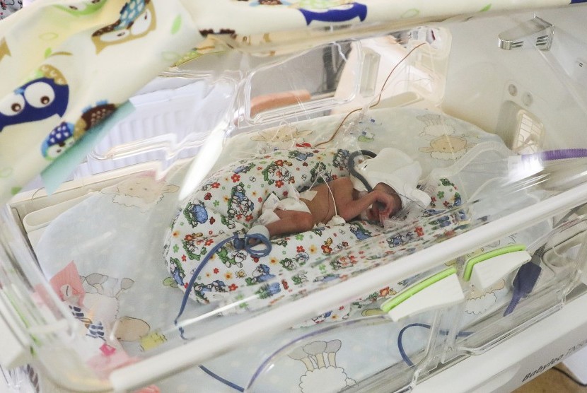  Salah satu bayi Polandia yang lahir kembar enam berada dalam kondisi sehat dan ditempatkan di inkubator untuk mendukung pertumbuhannya di University Hospital, Krakow, Selasa.