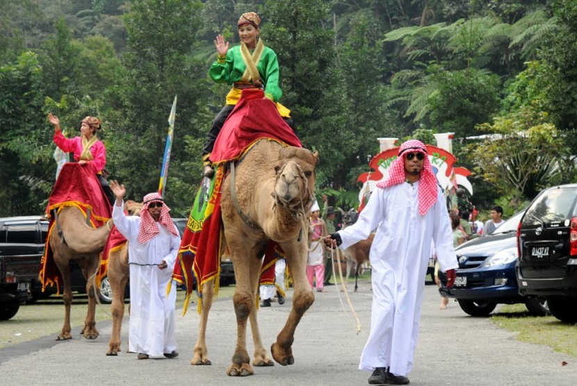 Salah satu hewan di Taman Safari Indonesia Cisarua.