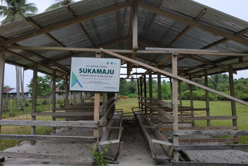 Salah satu kandang para peternak di Desa Tafasoho binaan Dompet Dhuafa.
