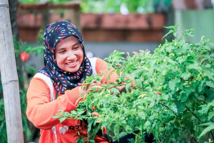 Salah satu kegiatan di Kampung Sayur Pohsarang, Kediri.