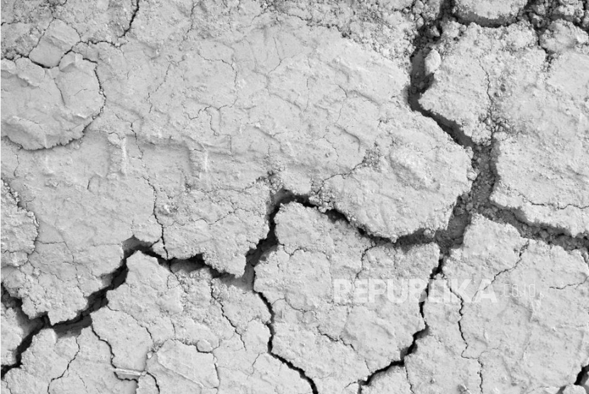 Salah satu langkah yang bisa ditempuh untuk memperbaiki beton adalah dengan grouting, yaitu mengisi celah yang ada pada beton tersebut.