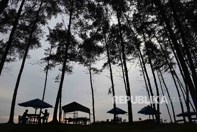 Salah satu obyek wisata di Bengkulu, Pantai Panjang.