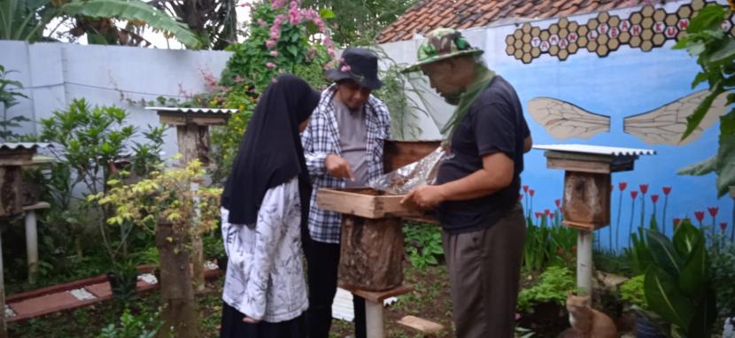 Salah satu Petani Milenial yang dinilai berhasil Amar Thohir (39), pemuda dari Desa Bojong, Kecamatan Kramatmulya, Kabupaten Kuningan yang membudidayakan madu di halaman berukuran 4×6 meter.