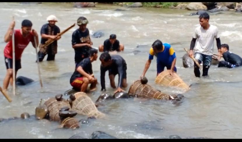 Salah satu rangkaian Festival 7 Sungai di Desa Wisata Cibuluh Subang, yakni cara masyarakat setempat dalam menangkap ikan.