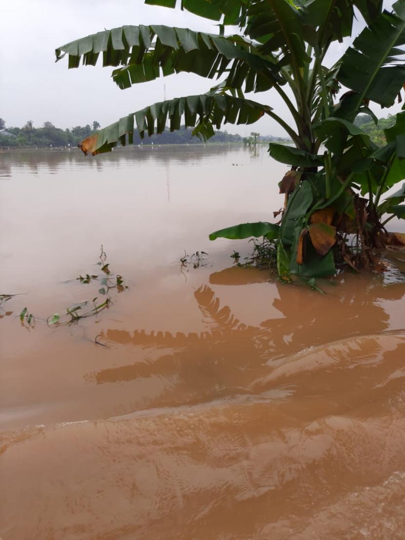 Salah satu titik banjir di Mustika Jaya, Kota Bekasi, Sabtu (20/2) pagi. Tampak sawah tergenang air hujan.