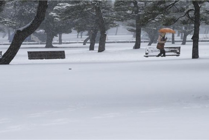 Salju menutupi taman dekat Istana Kekaisaran, Tokyo, Sabtu (8/2).