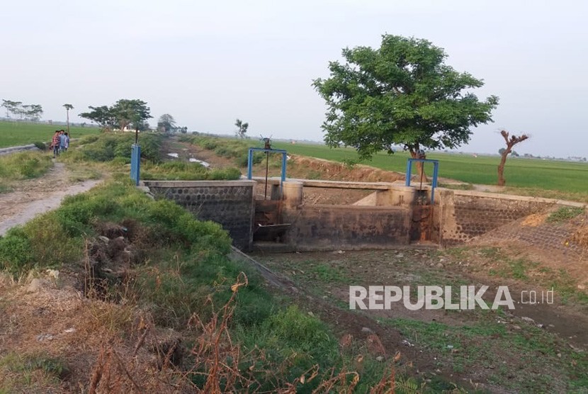 Saluran irigasi di Kecamatan Kandanghaur, Kabupaten Indramayu kering kerontang karena kurang mendapat pasokan air dari Bendung Rentang, Kabupaten Majalengka. (Dok)