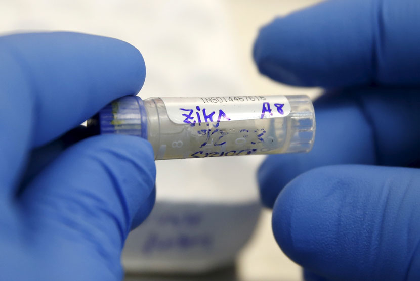 Sampel darah dari gigitan nyamuk Aedes aegypti yang menyebarkan virus zika 