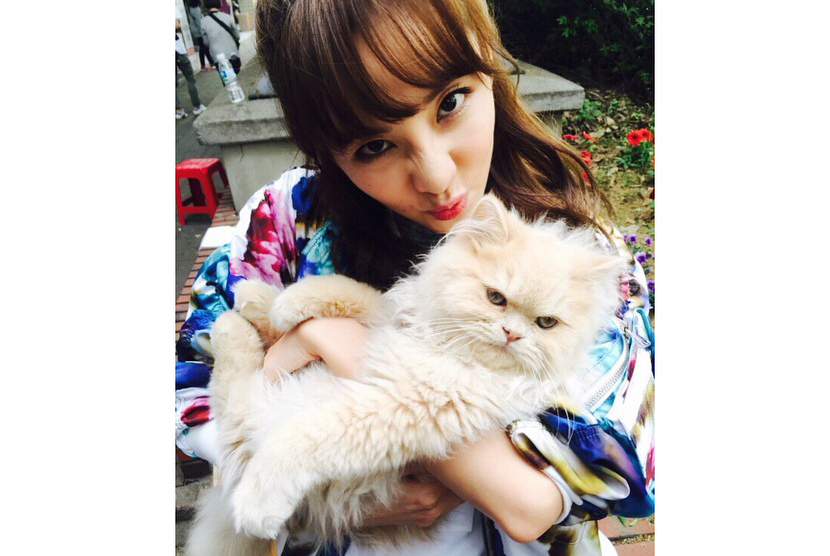 Sandara Park dan kucing.