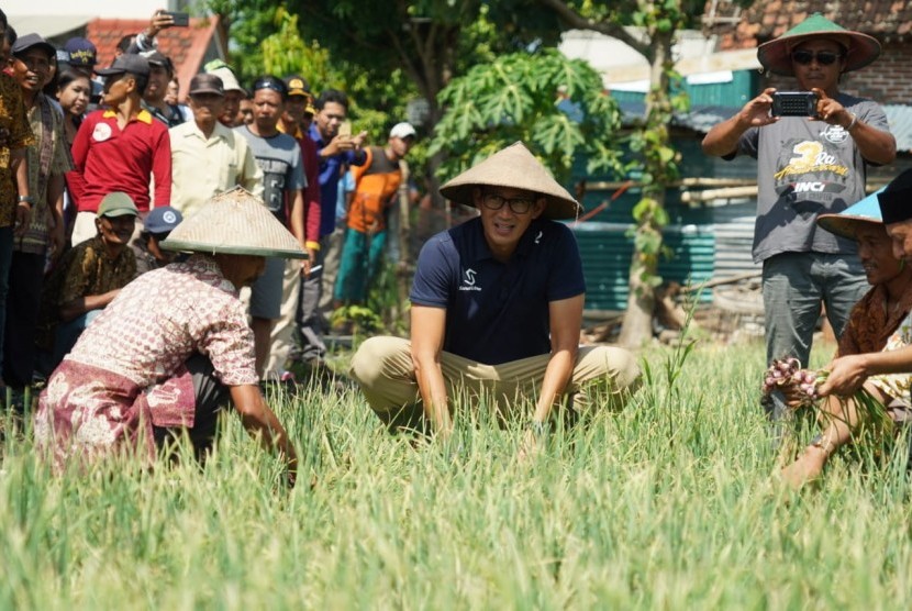 Sandiaga Uno saat mengunjungi petani di Nganjuk, Kamis (8/2).