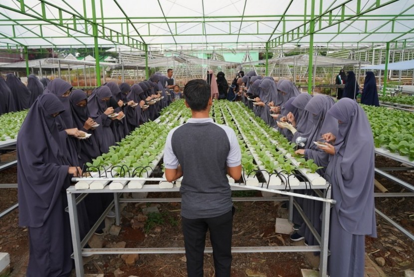 Santriwati Al-Mar'atus Sholihah Islamic Boarding School menyaksikan kebun hidroponik BMH di Depok.