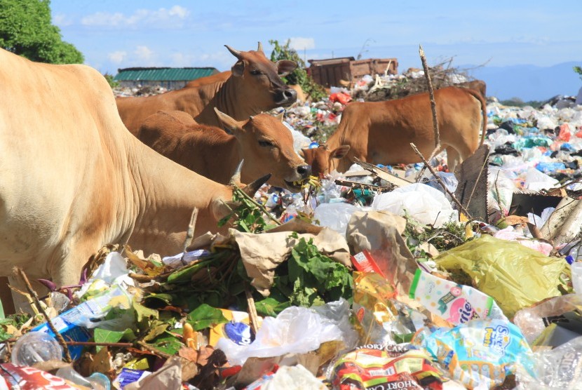 Denda Rp 10 Juta Bagi Pembuang Sampah Sembarangan di Aceh | Republika