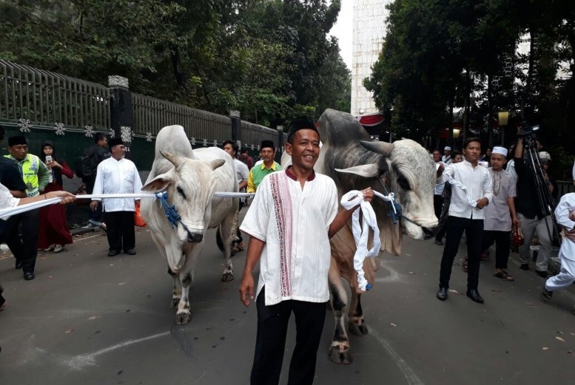 Sapi sumbangan Presiden Joko Widodo, menjadi objek warga berswafoto, Jumat (1/9)