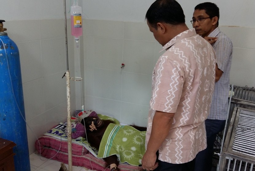 Sari mati setelah sebelumnya dirawat di klinik.