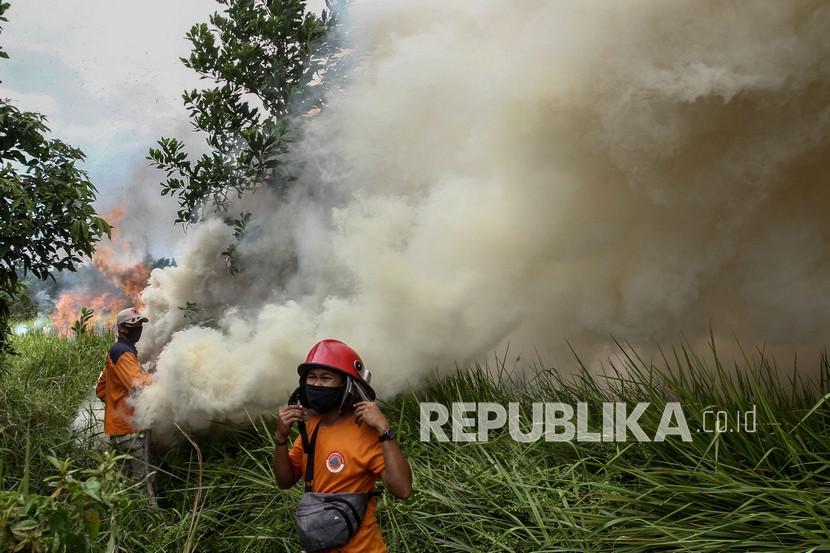 Satgas Kebakaran Hutan dan Lahan (Karhutla) Riau yang terdiri dari petugas Manggala Agni Daops Pekanbaru, BPBD Pekanbaru, Masyarakat Peduli Api dan TNI Polri berusaha memadamkan api 