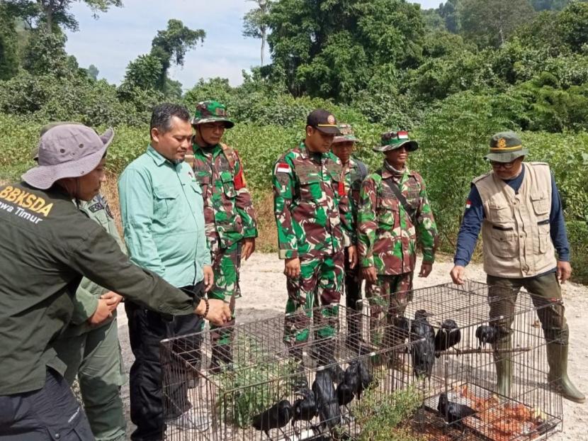 Satuan Tugas Marinir Pengamanan Pulau Terluar TNI AL melepasliarkan 52 ekor satwa di Pulau Nusa Barung, Kabupaten Jember, Kamis (25/4/2024). 