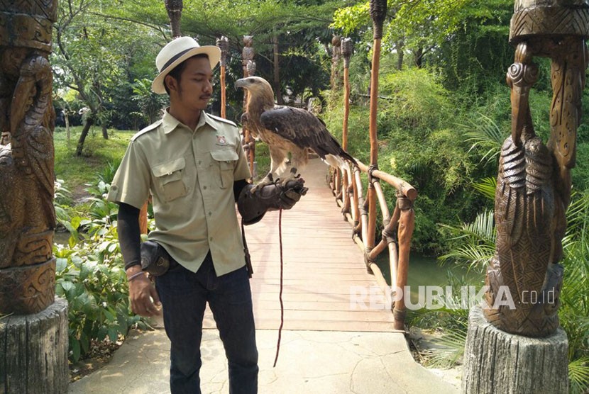 Satwa dari berbagai penjuru dunia yang berada di Faunaland, Ancol. Jumat (3/11). 