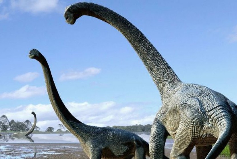Savannasaurus elliottorum ditemukan saat menggembala domba di Queensland.